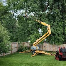 Oak Hills, OR Tree Services Company