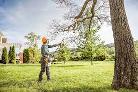 Best Commercial Tree Services  in Oak Hills, OR